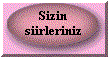 gonderin siirlerinizi sizin adinizla yayinlayalim